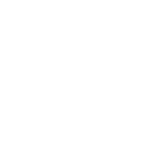 History 2022