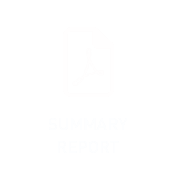Summary Report 2021